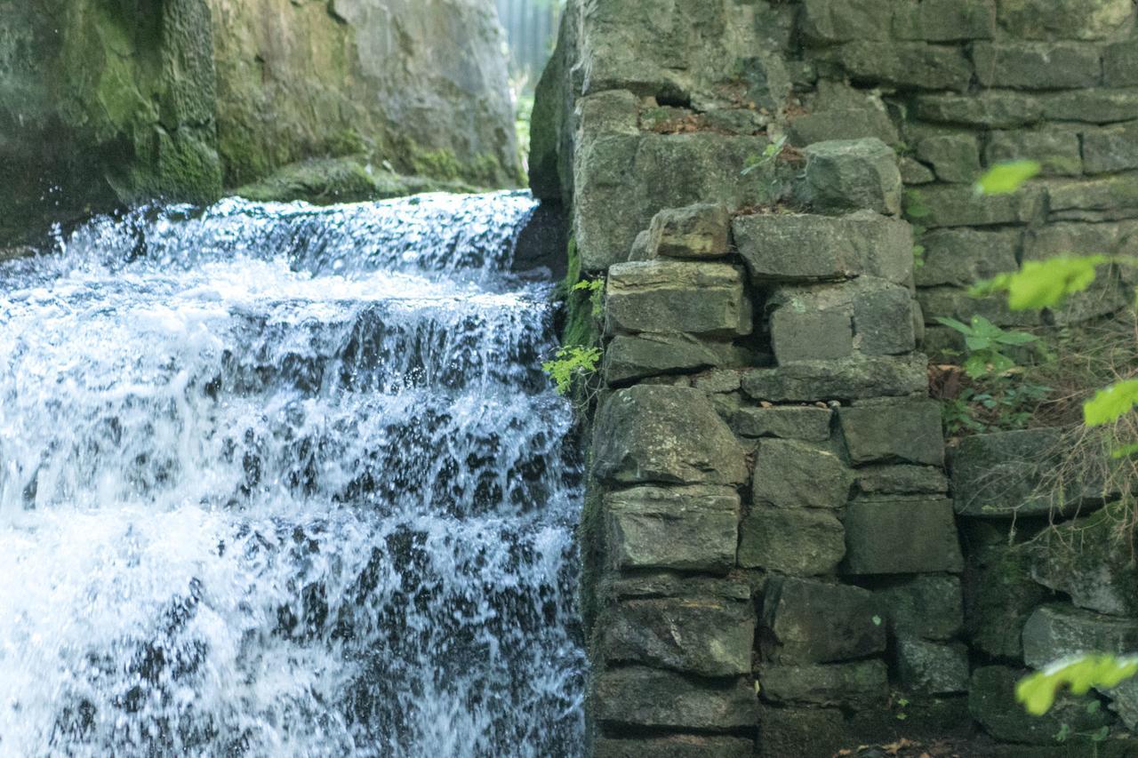 Haus Am Wasserfall Detmold Extérieur photo