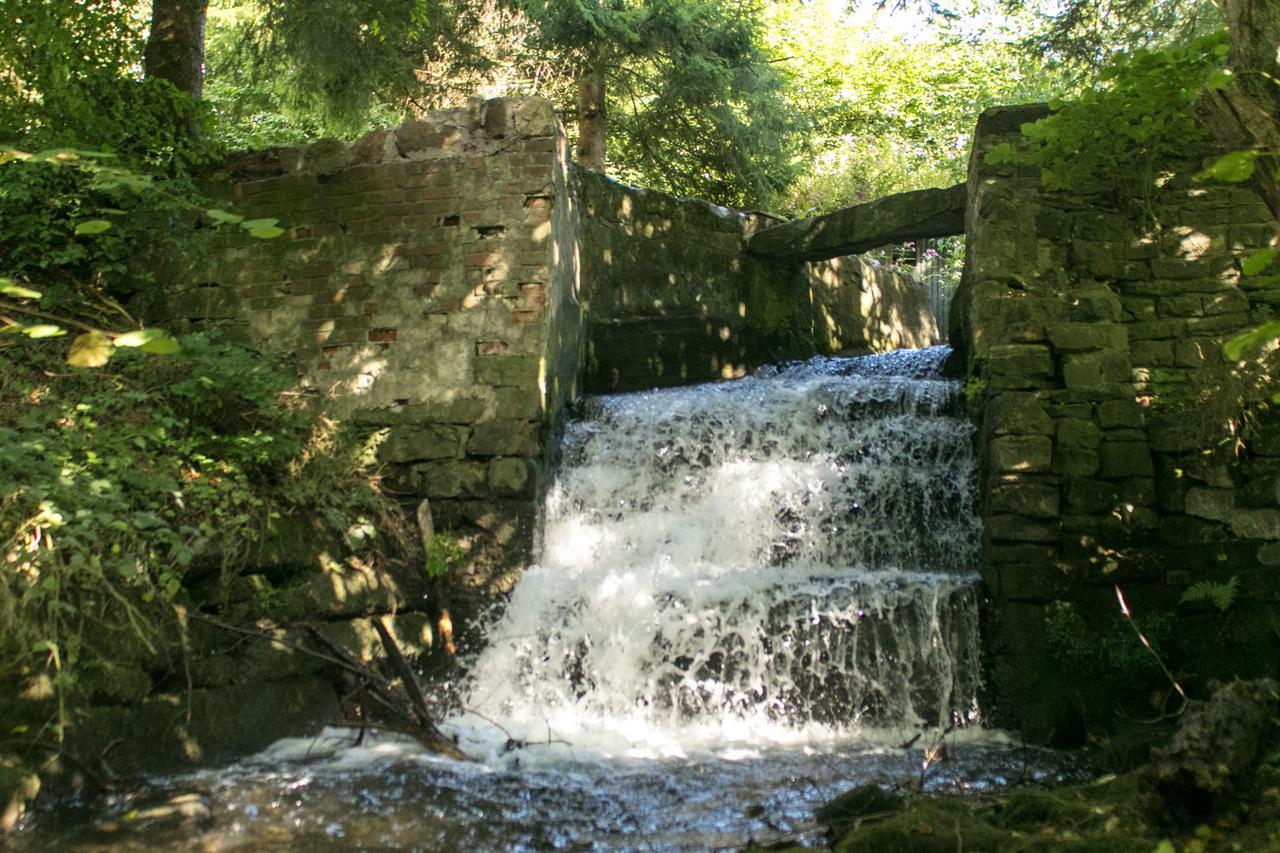 Haus Am Wasserfall Detmold Extérieur photo